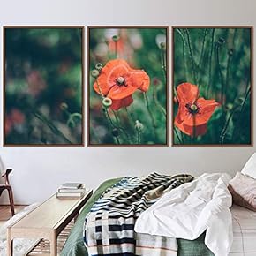 signwin 3 Piece Framed Canvas Wall Art Colorful...