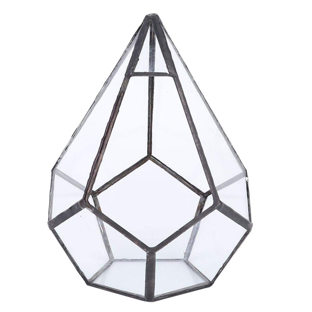 Glass Terrarium Stylish Geometric Shape Planter Succulent Holder Plants Container Flower Pot Tabletop Landscape Decor