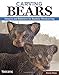 Carving Bears: Patterns and Reference for Realistic Woodcarving (Fox Chapel Publishing)