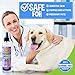 Bodhi Dog Waterless Shampoo - Natural Dry Shampoo for Dogs & Cats - Neutralizes Pet Odor - No Rinse Required - Made of Natural Extracts - Safe for Sensitive Skin - Made in USA - Lavender (8 Fl Oz)