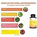 Kidney Cleanse | Detox and Cleanse for Kidneys, Bladder and Urinary Tract Health | Best Cranberry Supplement to Boost Kidney Health with Cranberry Extract, Uva Ursi, Astragalus | 60 Veggie capsules