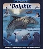 Uncover a Dolphin (Uncover Books)