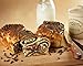 supreme cinnamon Babka with walnuts 18 oz from lillys bake shoppe