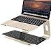 SOUNDANCE Laptop Stand, Aluminum Computer Riser, Ergonomic Laptops Elevator for Desk, Metal Holder Compatible with 10 to 15.6 Inches Notebook Computer, Gold
