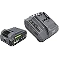 FLEX 24V Stacked Lithium-Ion Starter Kit with 3.5Ah Stacked Lithium Battery and 160W Fast Charger - FX0411-1F