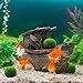 Luffy 3 Giant Marimo Moss Balls (1.5