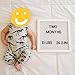 Summer Baby Boy Girl Animal Printed Sleeveless Romper One-Piece Bodysuit Jumpsuit Outfits (Gray, 6-9 Months)