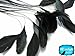 Moonlight Feather | 1 Dozen - Black Stripped Rooster Coque Tail Feathers Craft Costume Supply