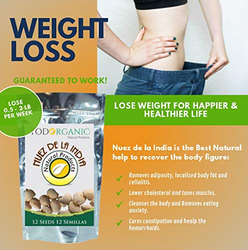 3 Pack Indian Nut 36 Seeds for Weight Loss original Nut,Indian seed - Thumbnail 5