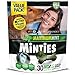 VetIQ Minties Dog Dental Bone Treats, Dental Treats For Dogs, Medium/Large, 24Oz, Green, 30 Treats