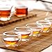 Luxtea Double-walled Borosilicate Teacup Glass Heat-resisting Tea Cup Hold 2 Oz, Set of 6