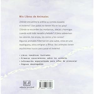 Pronto llegara el invierno! / Winter Has Arrived!: Los Animales En Invierno (Spanish Edition)