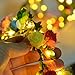 Homeleo 6-Pack Light Up Flower Crown for Christmas New Year Party, LED Rose Flower Light Up Tiara, Xmas Wreath Garland Headband, Halloween Fairy Make up Headdress