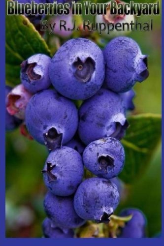 Blueberries in Your Backyard: How to Grow America