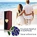 PREUP Blue Gold Dipped Rose, Long Stem 24k Gold Dipped Real Rose Lasted Forever, Special Valentines Day and Anniversary Gift for Her