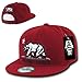 WHANG California Republic Snapbacks, Cardinal