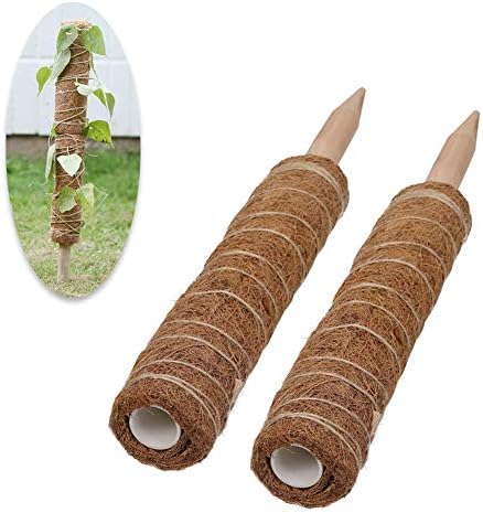 Madaoo 園芸支柱 ココナッツ支柱 ガーデニング支柱 つる植物 植物支柱 観葉支柱 ココナッツパームスティック 植物サポート 限定特価 水分 延長可能 使いやすい 高さ調整可能デザイン 養分維持 頑丈 つる性植物 2本入り 耐久 中空デザイン