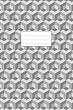 Isometric Graph Paper Notebook: 6x9 Inches | 110 Pages | Subtle Light Grey Grid | 1/4 Inch Equilater by Isometric Paper Print