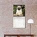 2024 2025 Pug Calendar - Dog Breed Monthly Wall Calendar - 12 x 24 Open - Thick No-Bleed Paper - Giftable - Academic Teacher's Planner Calendar Organizing & Planning - Made in USA