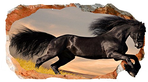 Startonight 3D Mural Wall Art Photo Decor Black Horse Amazing Dual View Surprise Large 32.28 inch By 59.06 inch Wall Mural Wallpaper for Living or Bedroom Animal Collection Wall Art