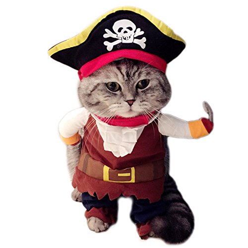 Alfie Pet by Petoga Couture - Kade the Pirate for Party Halloween Special Events Costume