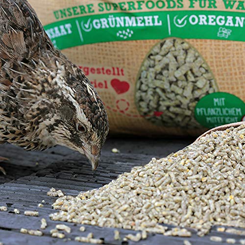 WachtelGold ProNatur-Wachtelkorn 10kg - Wachtelfutter Pellets - Bio Legekorn Biofutter – Bild 5