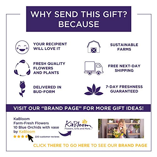 6 KaBloom+Summer+Beauty+Bouquet+Hydrangeas