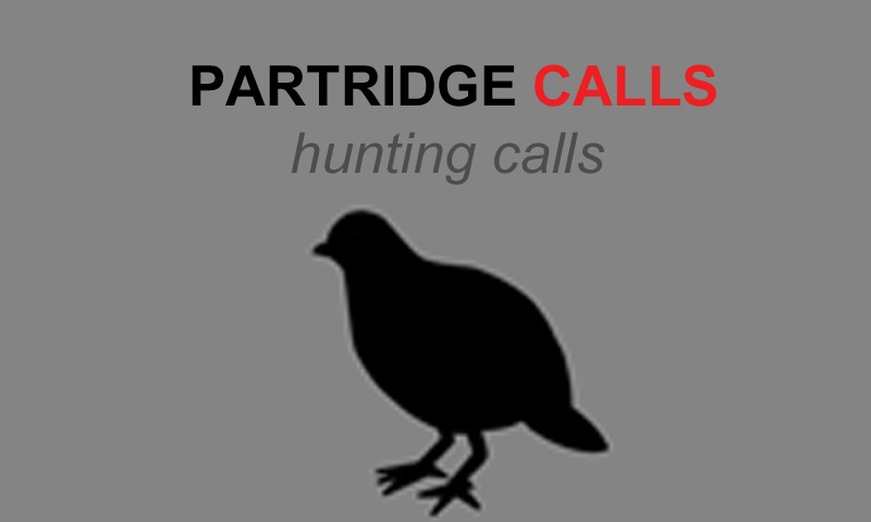 Partridge Calls for Hunting - Partridge Sounds Hunting Calls - Thumbnail 2