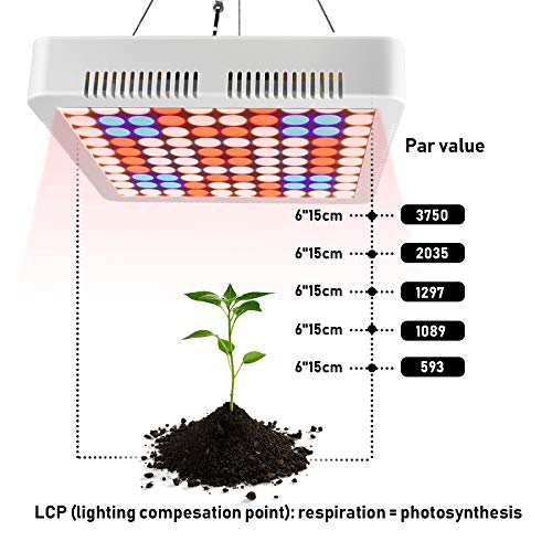 Led Grow Light Aogled,Full Spectrum Plant Light,Replace Traditional 600W 800W HPS/MH Lamp,Growing Lamp for Indoor Plants Hydroponic Greenhouse