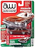 1974 Buiсk Estate Wagon Cinnamon Brown Metallic Muscle Wagons Limited Edition to 5,720 Pieces 1/64 Diecast Model Car by Autoworld 64222/ CP7601