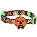 Blueberry Pet 8 Patterns Halloween Harvest Pumpkin Classic Designer Adjustable Dog Collar with Decoration, Medium, Neck 14.5