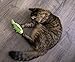 SmartyKat Cruzin' Critter Electronic Motion Cat Toy, Battery Powered - Green, One Size