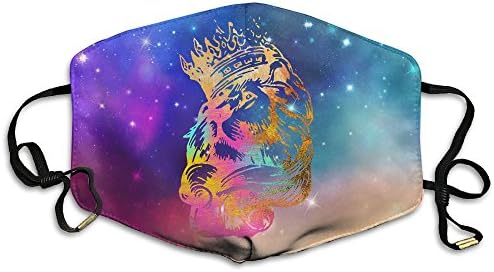 Ali2oaIq Cool Rainbown Lion Unisex Dust Allergy Flu Masks Washable Activated Carbon Breath Healthy Safety Mouth Masks