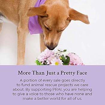prai neck cream amazon