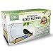 Tadge Goods Window Bird Feeder for Outside - XL 5 Inch Opening for Cardinal, Blue Jay and Bird Variety - Squirrel Proof When Placed High - with 3 Bonus Heavy Duty Hook Suction Cups