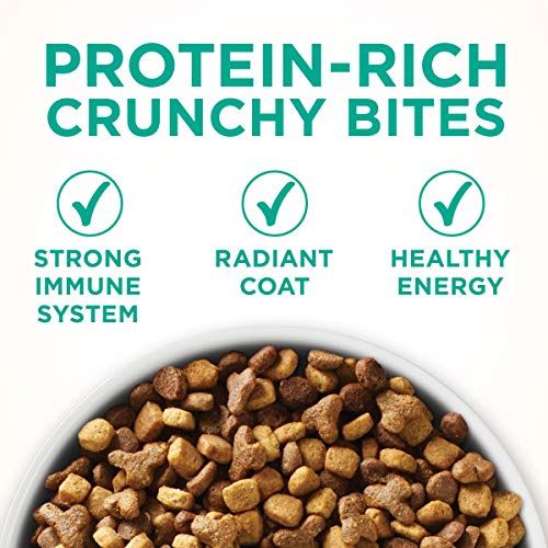 Purina ONE Sensitive Stomach, Sensitive Skin, Natural Dry Cat Food