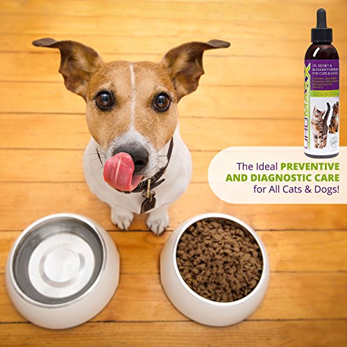 5 UroMAXX+Urinary+Kidney+Bladder+Formula
