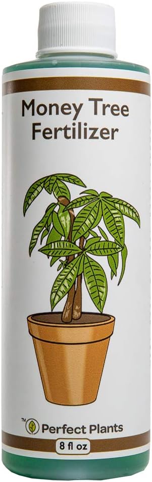 Perfect Plants Liquid Money Tree 