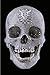 Damien Hirst: For the Love of God, The Making of The Diamond Skull