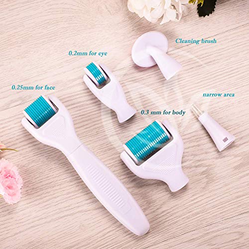6 in 1 Derma Roller Microneedle Kit for Body and Face 0.2 mm 0.25 mm 0.3 mm - Titanium Dermaplaning  - //medicalbooks.filipinodoctors.org