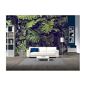 Green Monstera Leaves Texture for Background Top View...