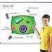 Learning Resources Giant Magnetic Plant Cell