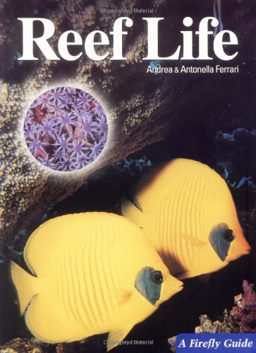 Reef Life (A Firefly Guide)