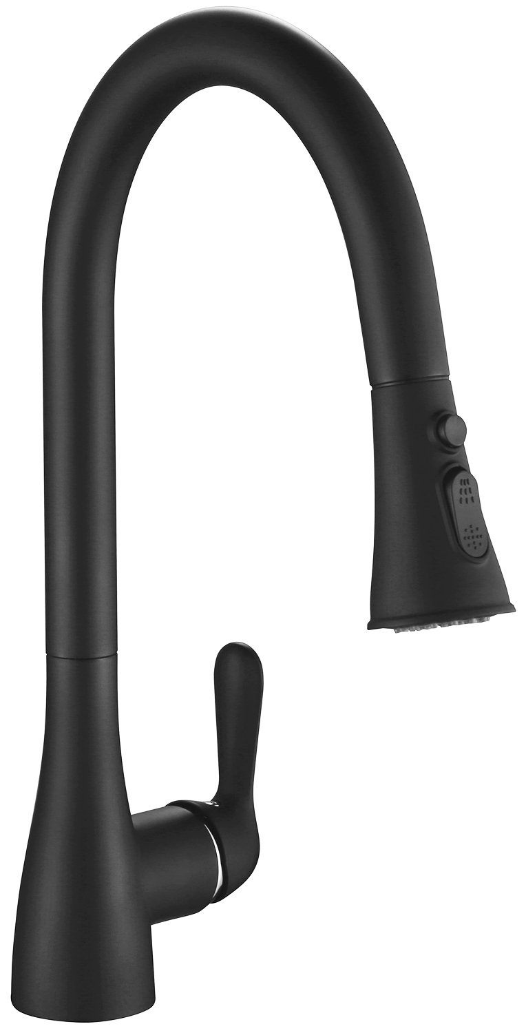 Best Vigo Kitchen Faucet Black