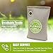 Bravex Coconut Charcoal Air Purifying Bags (4 x 200g), Car Air Purifier, Closet Freshener, Home Air Freshener, Odor Absorber, 3-4 Times Absorbing Efficiency (Upgrade)