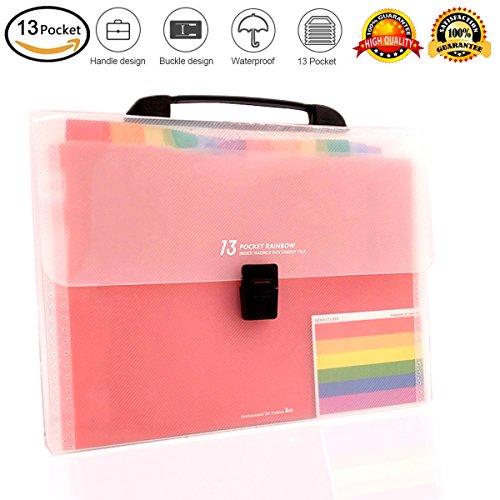Expanding File Folder/Accordion Folder File Organizer Handle A4 Multicolor Portable Expanding Wallets Large Capacity Portable Box Document Stand Bag, Labels,Office, Study, Business (13 Pockets)