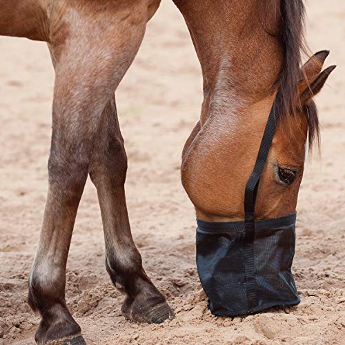 Cashel Feed Rite Bag, Horse, Black