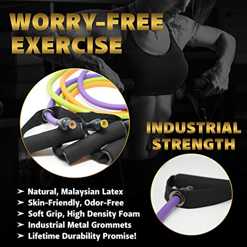 TRIBE Resistance Bands Set and Weights for Exercises I Exercise Bands