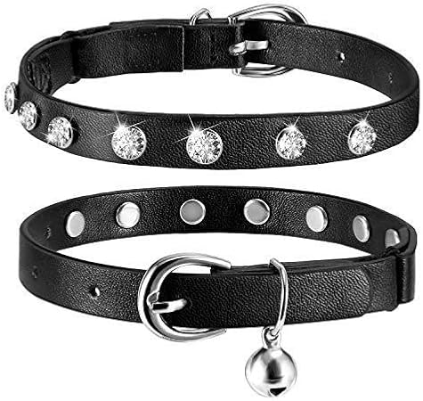 kitten collar with bell