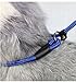 Freedi Adjustable Nylon Leash Dog Running Training Climbing Rope Slip Small Large Dog Puppy Pet Leash Collar Blue